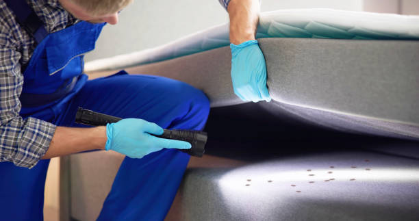 Best Commercial Pest Control Services  in Mahanoy City, PA