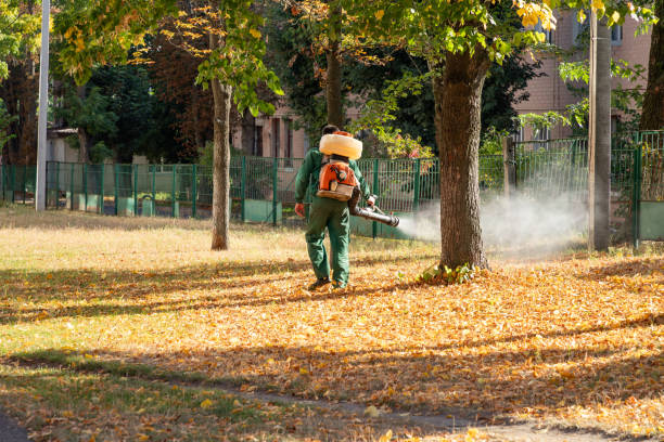 Trusted Mahanoy City, PA Pest Control Experts