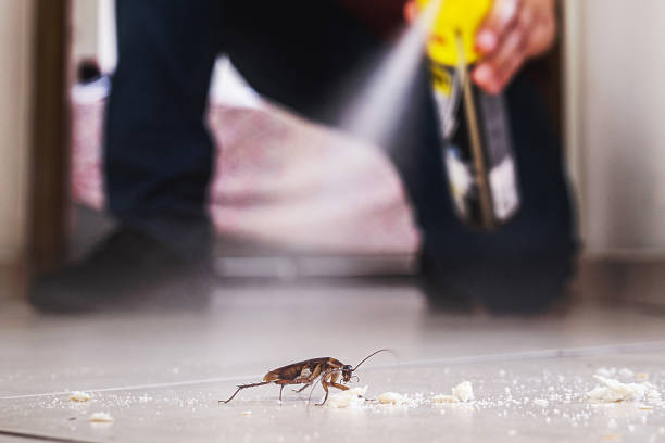 Best Wildlife Control Services  in Mahanoy City, PA