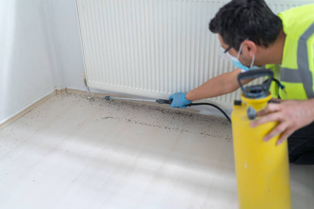 Best Pest Control Treatment  in Mahanoy City, PA